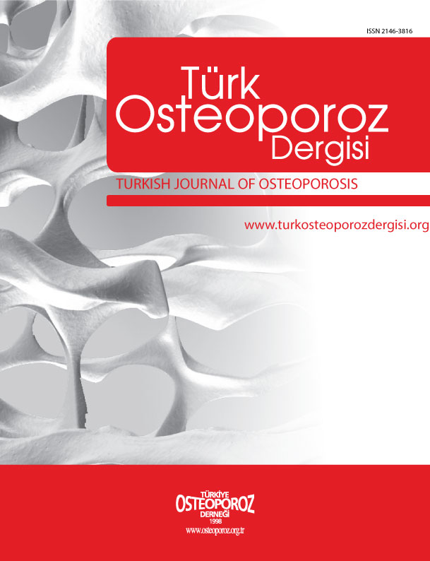 Turkish journal