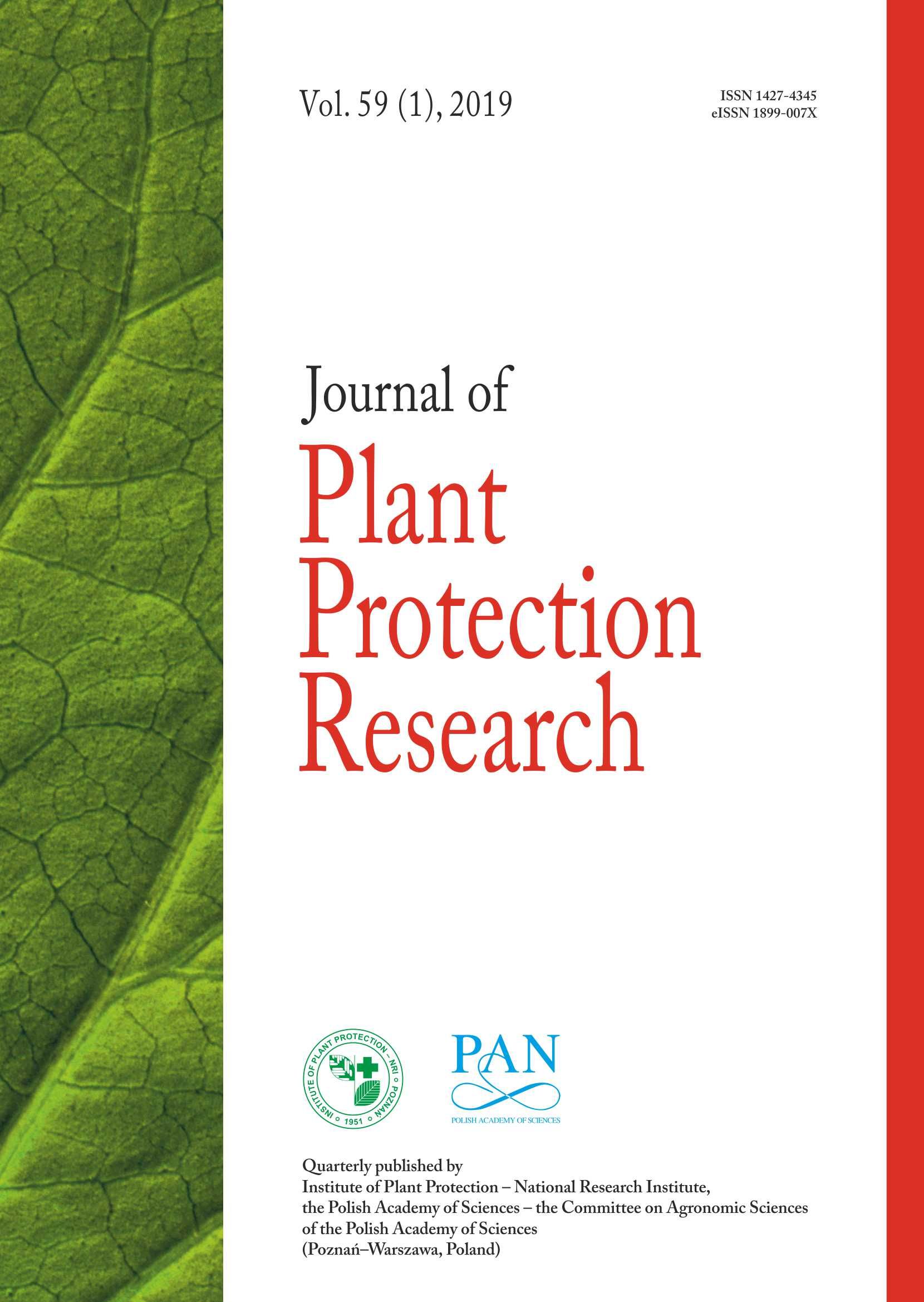 Leaf rust resistance genes in wheat фото 18